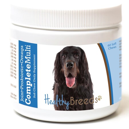 Healthy Breeds Gordon Setter All in One Multivitamin Soft Chew, 60PK 192959008170